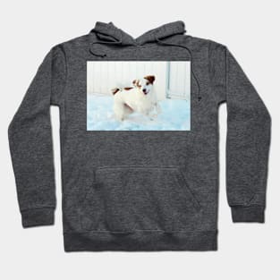 Prancing Through The Snow Hoodie